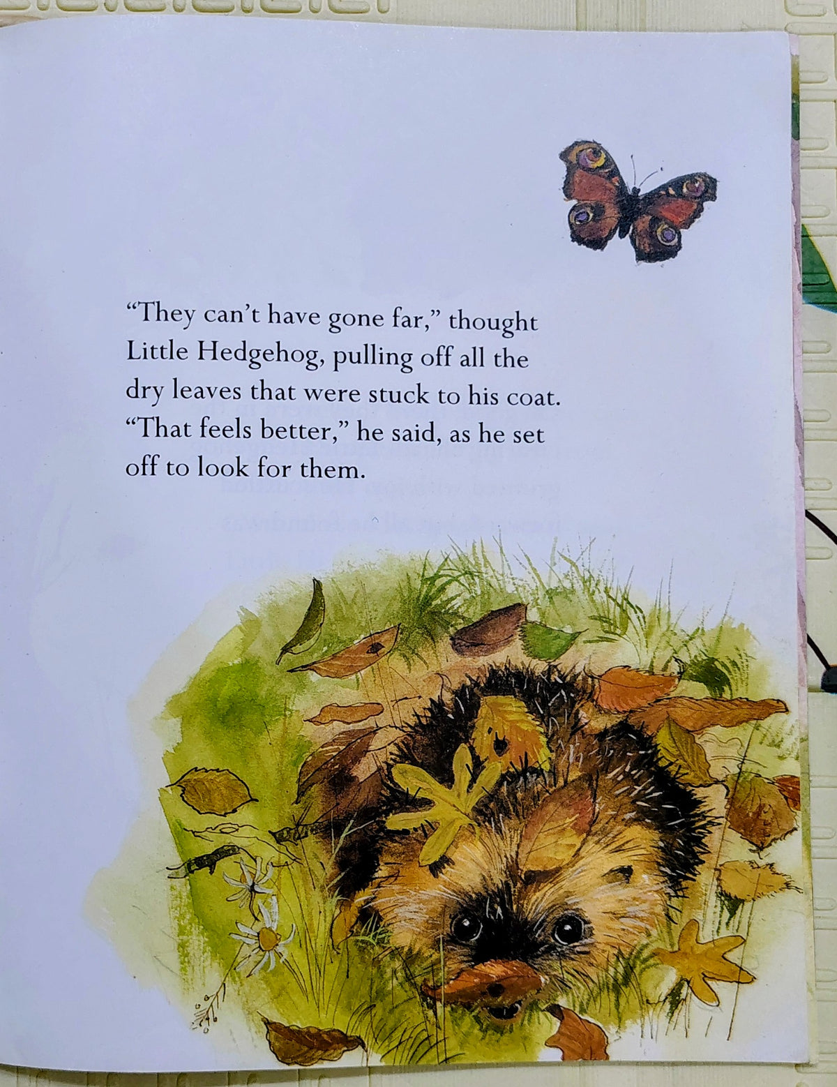 The Prickly Hedgehog by Mark Ezra and Gavin Rowe