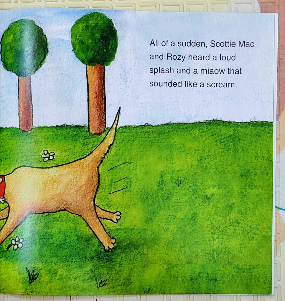 Scottie Mac and Rozy Cats and Dogs by Rona McMillan and Jamie Mackay