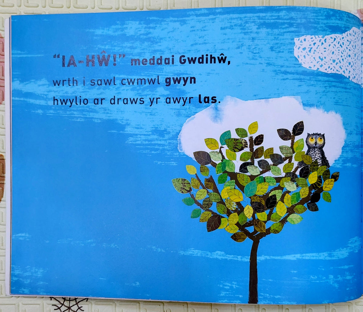 Ia-Hw! Meddai Gwdihw by Tim Hopgood | Story in Welsh Language