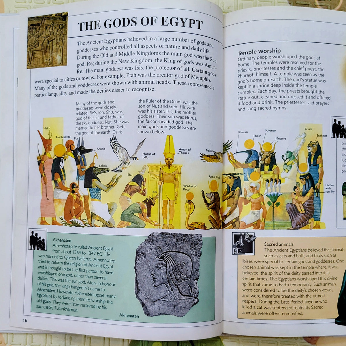 Focus on Ancient Egyptians | Watts | Educational
