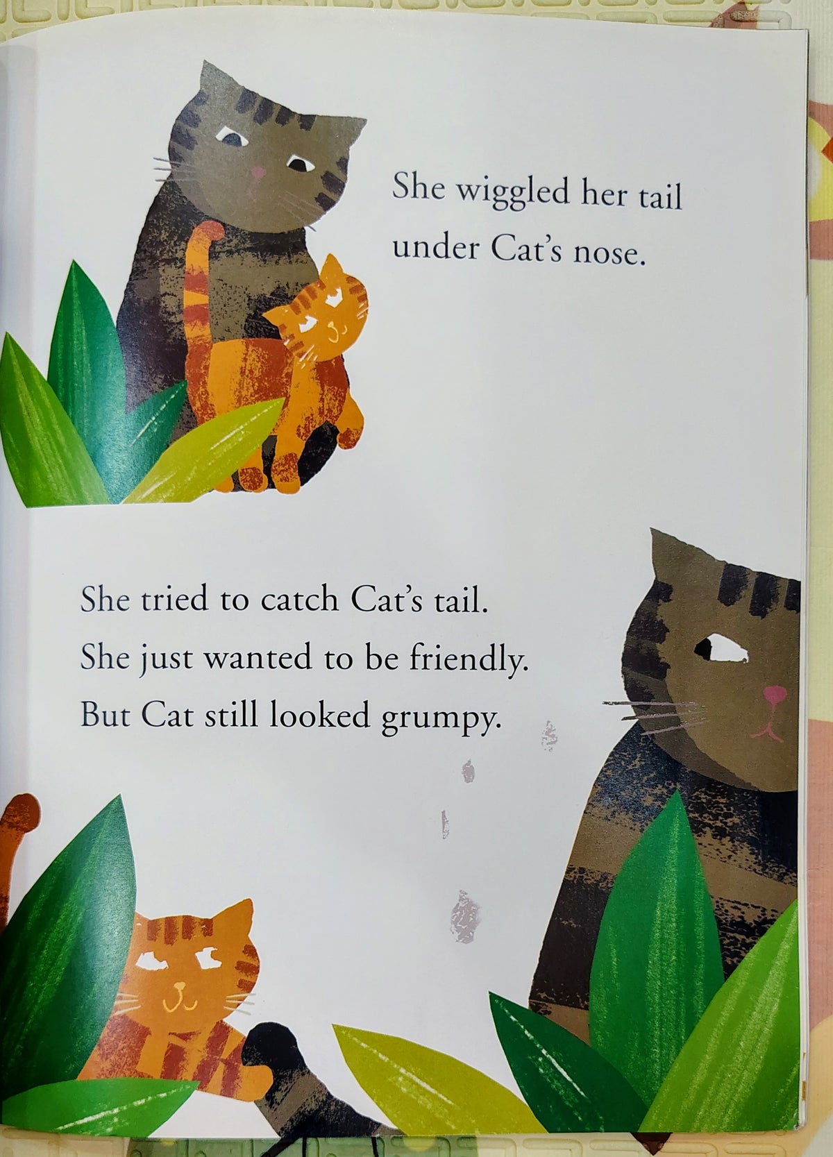 Grumpy Cat by Britta Teckentrup | Bookstart