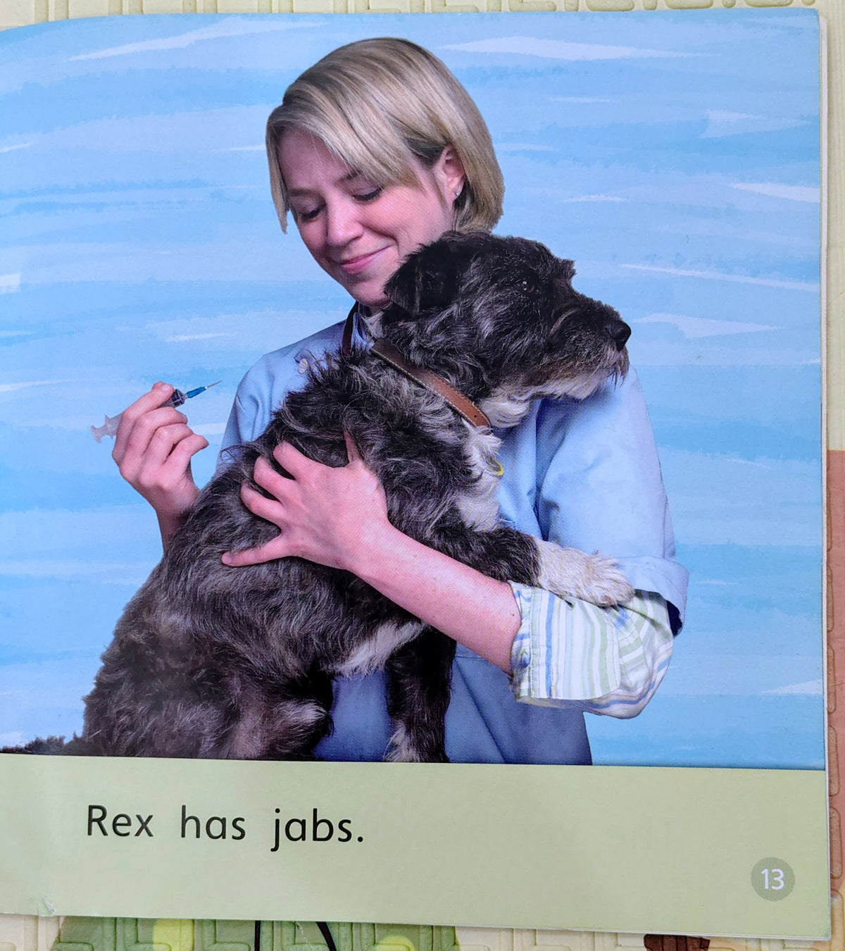 Jack Gets a Pet by Emma Lynch | Phonics Bug Phase 3
