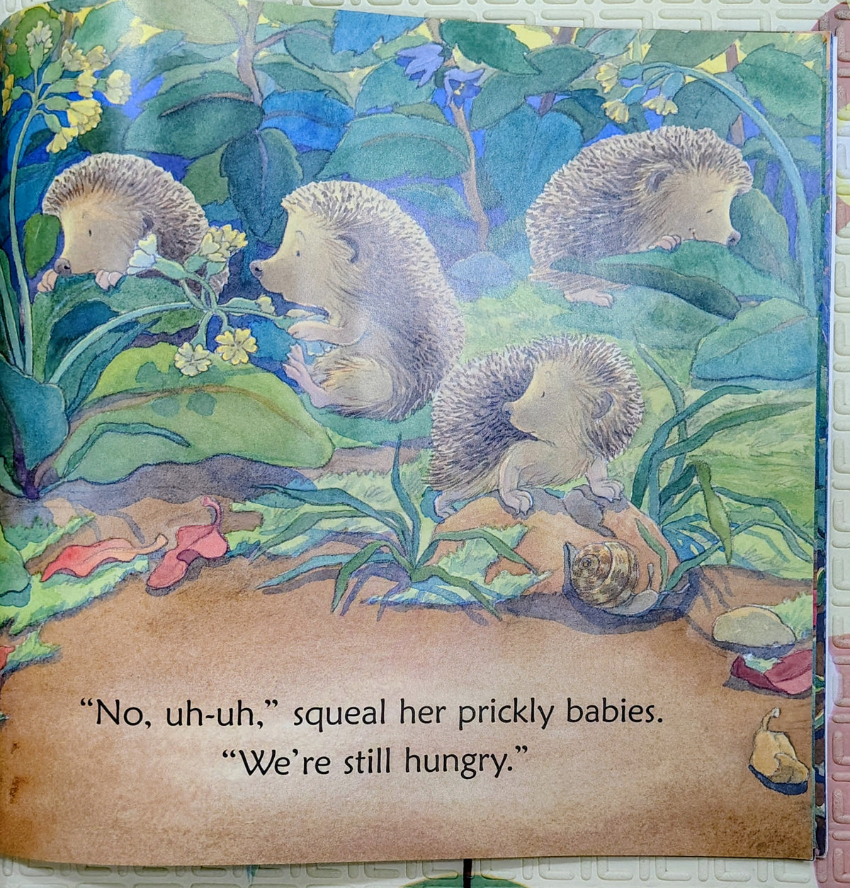 Down in the Woods at Sleepytime by Carole Lexa Schaefer | Walker