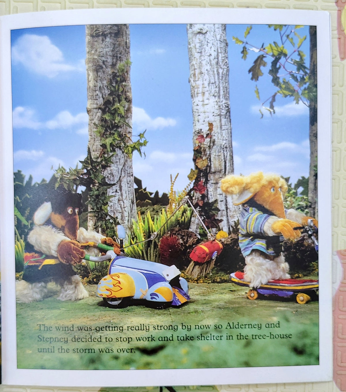 The Wombles: Tomsk to the Rescue by Elisabeth Beresford | Hodder