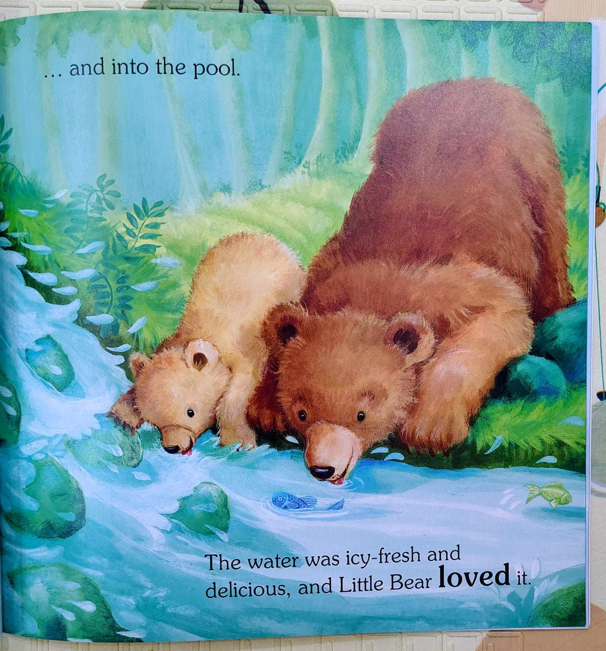 Little Bear's Big Adventure by Julia Huber | Top That