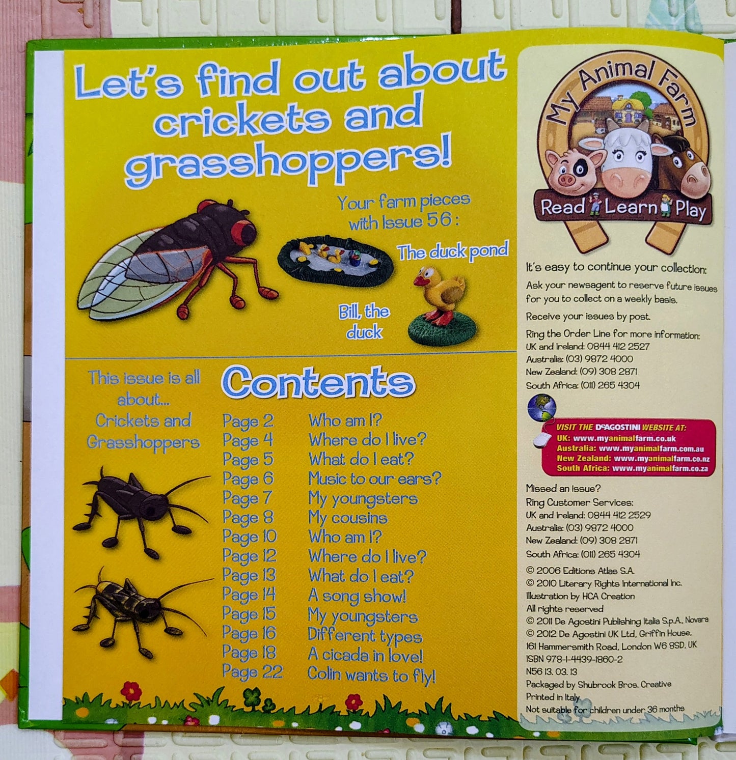 Crickets and Grasshoppers – Animals in the Field | My Farm Animals Series