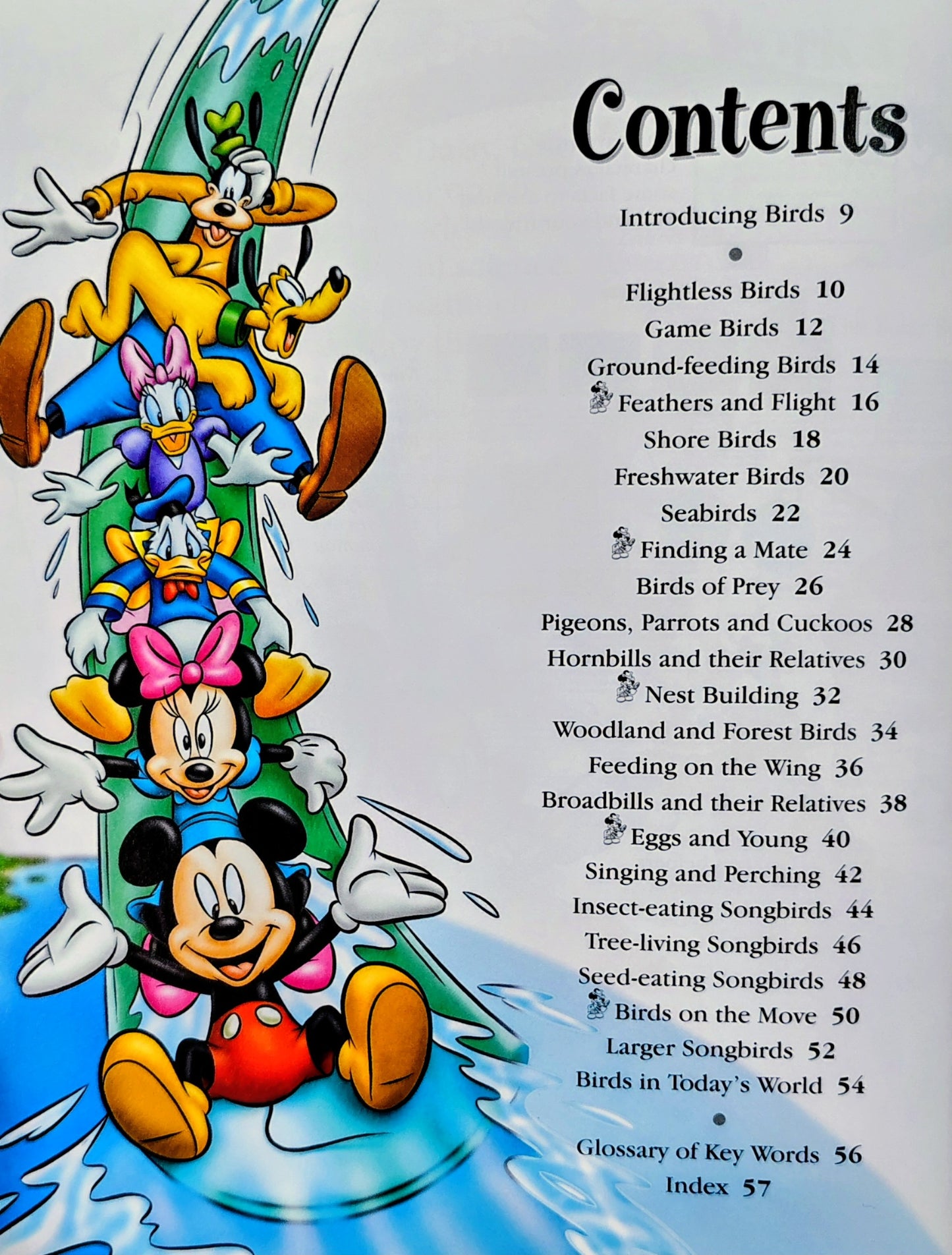 Disney – The Wonderful World of Knowledge: Birds
