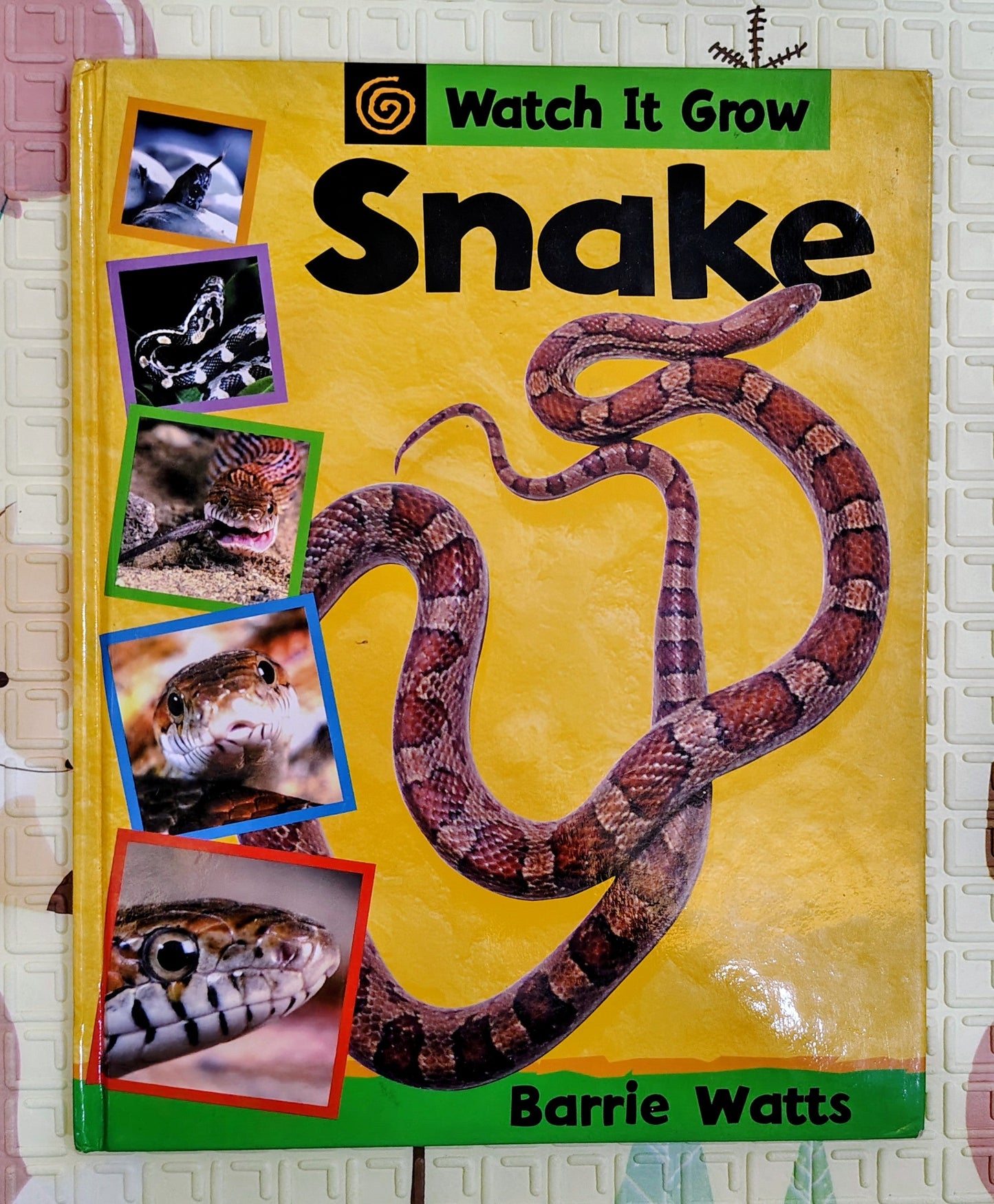 Watch It Grow Snake | Non-Fiction