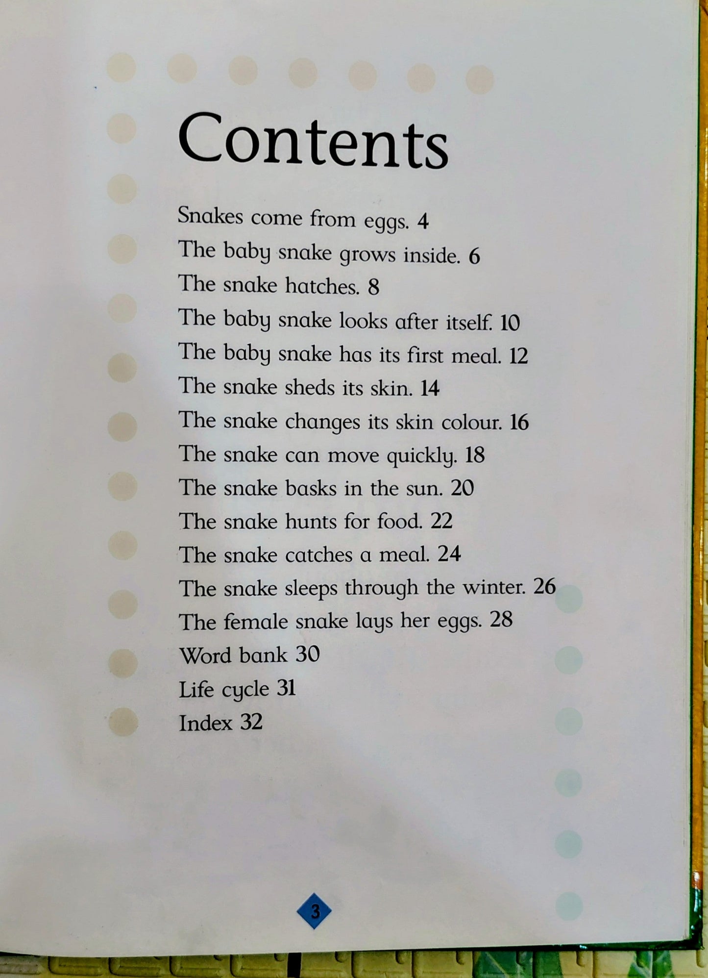 Watch It Grow Snake | Non-Fiction