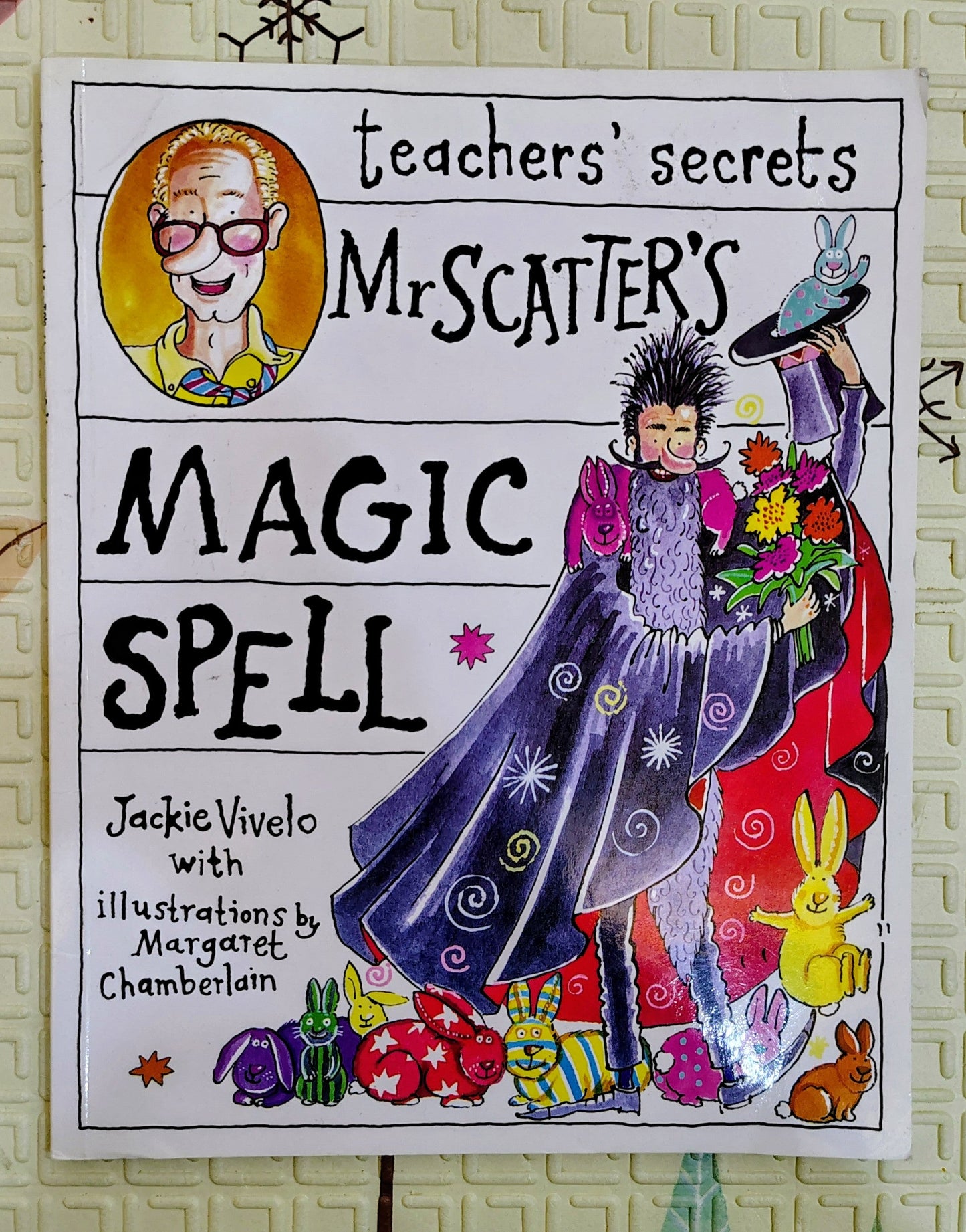 Mr. Scatter's Magic Spell by Jackie Vivelo with illustrations by Margaret Chamberlain | Children's Fantasy