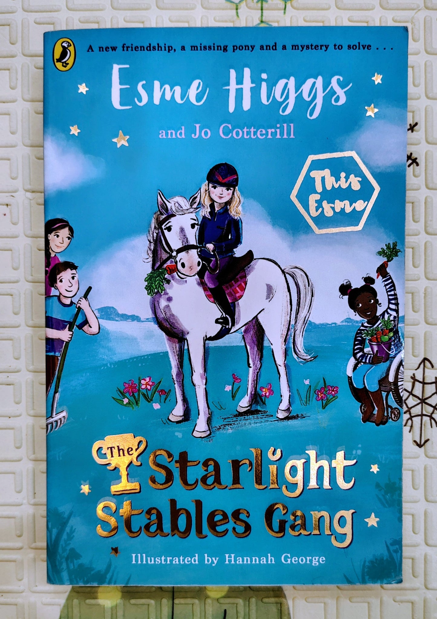 The Starlight Stables Gang by Esme | Egmont | Adventure