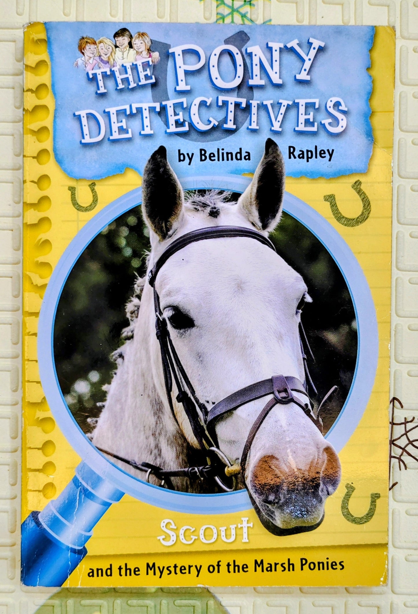 The Pony Detectives by Belinda Rapley | Mystery