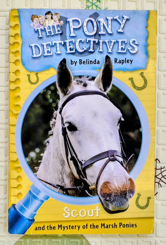 The Pony Detectives by Belinda Rapley | Mystery