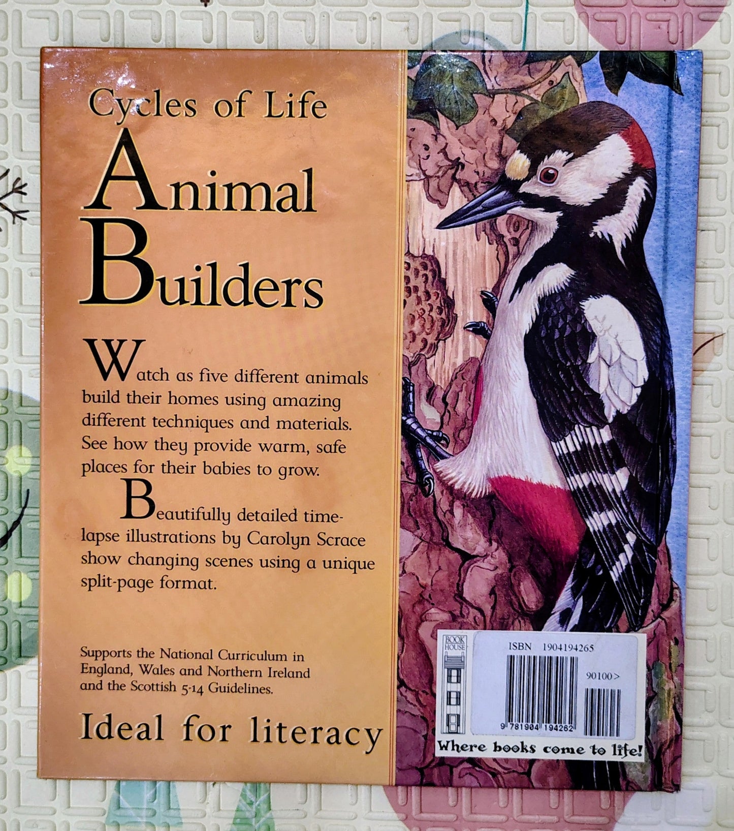 Animal Builders by David Stewart & Sean Milne