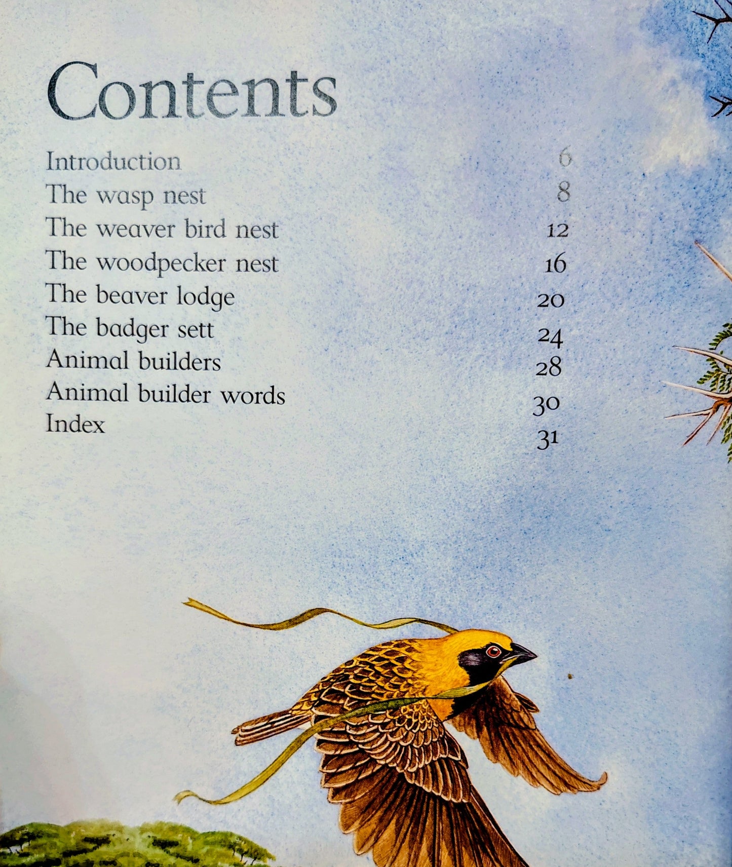 Animal Builders by David Stewart & Sean Milne