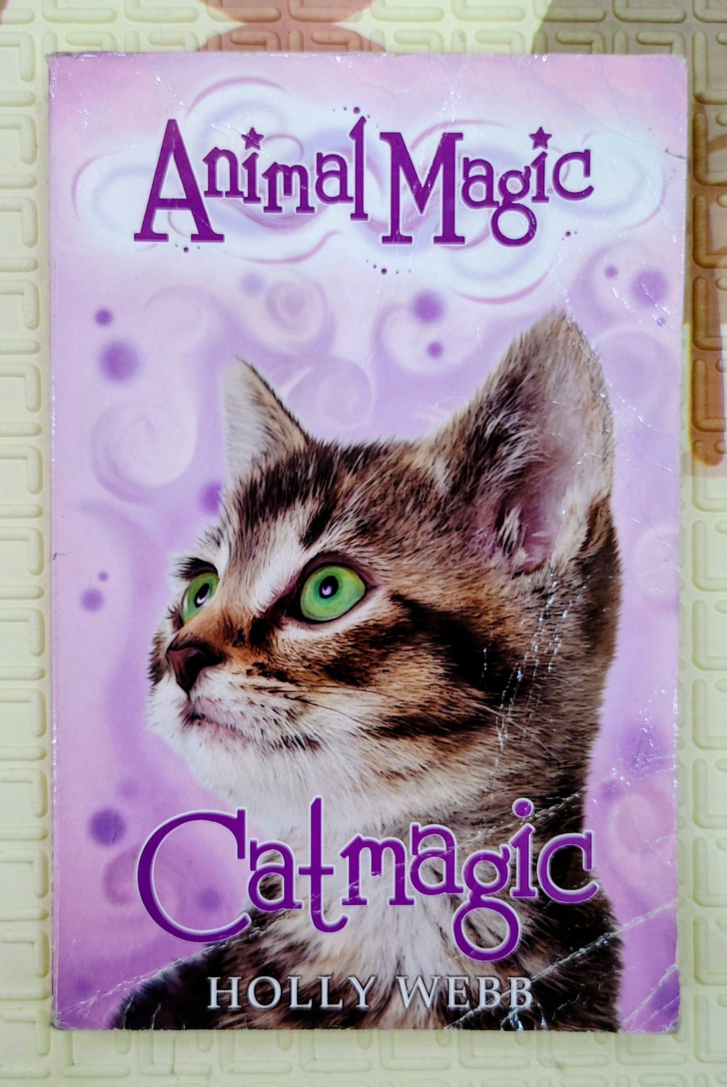 Catmagic by Holly Webb | Animal Magic