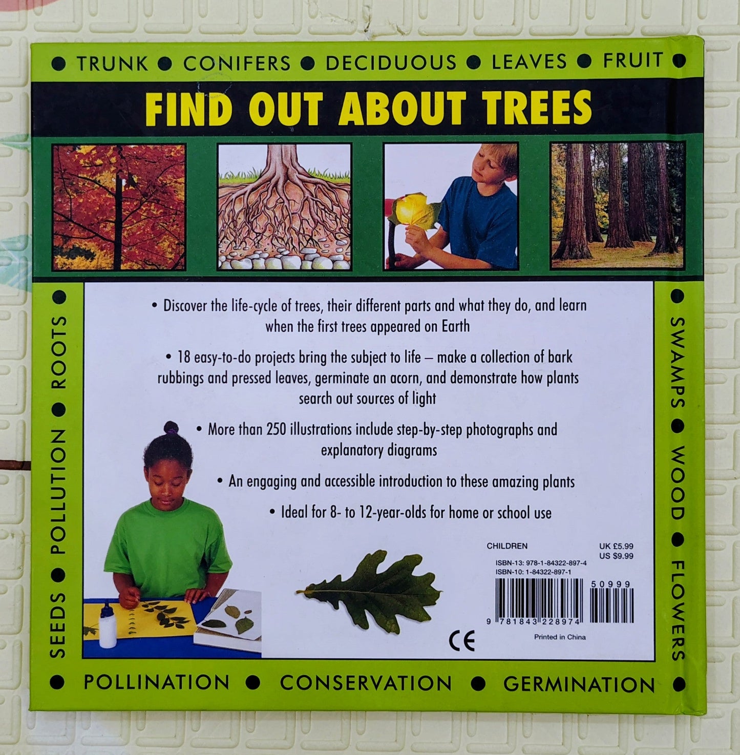 Find Out About Trees by Peter Mellett
