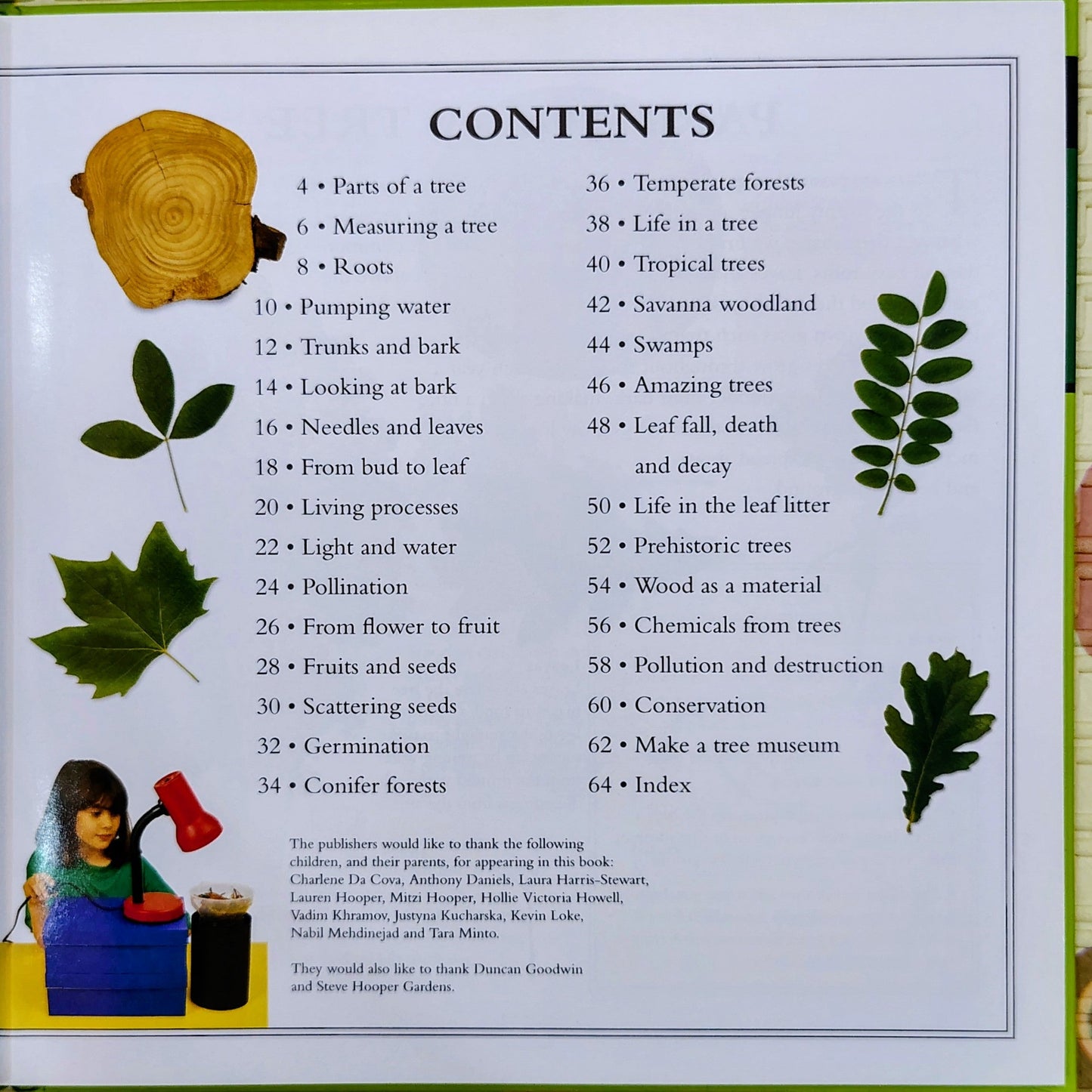 Find Out About Trees by Peter Mellett