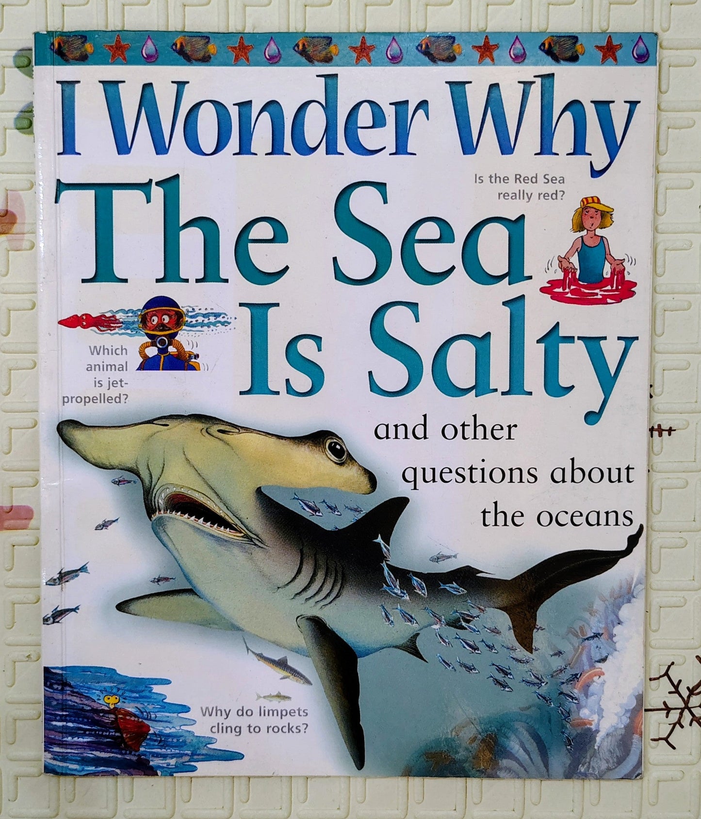 I Wonder Why: The Sea Is Salty and other questions about the oceans | Kingfisher | Educational