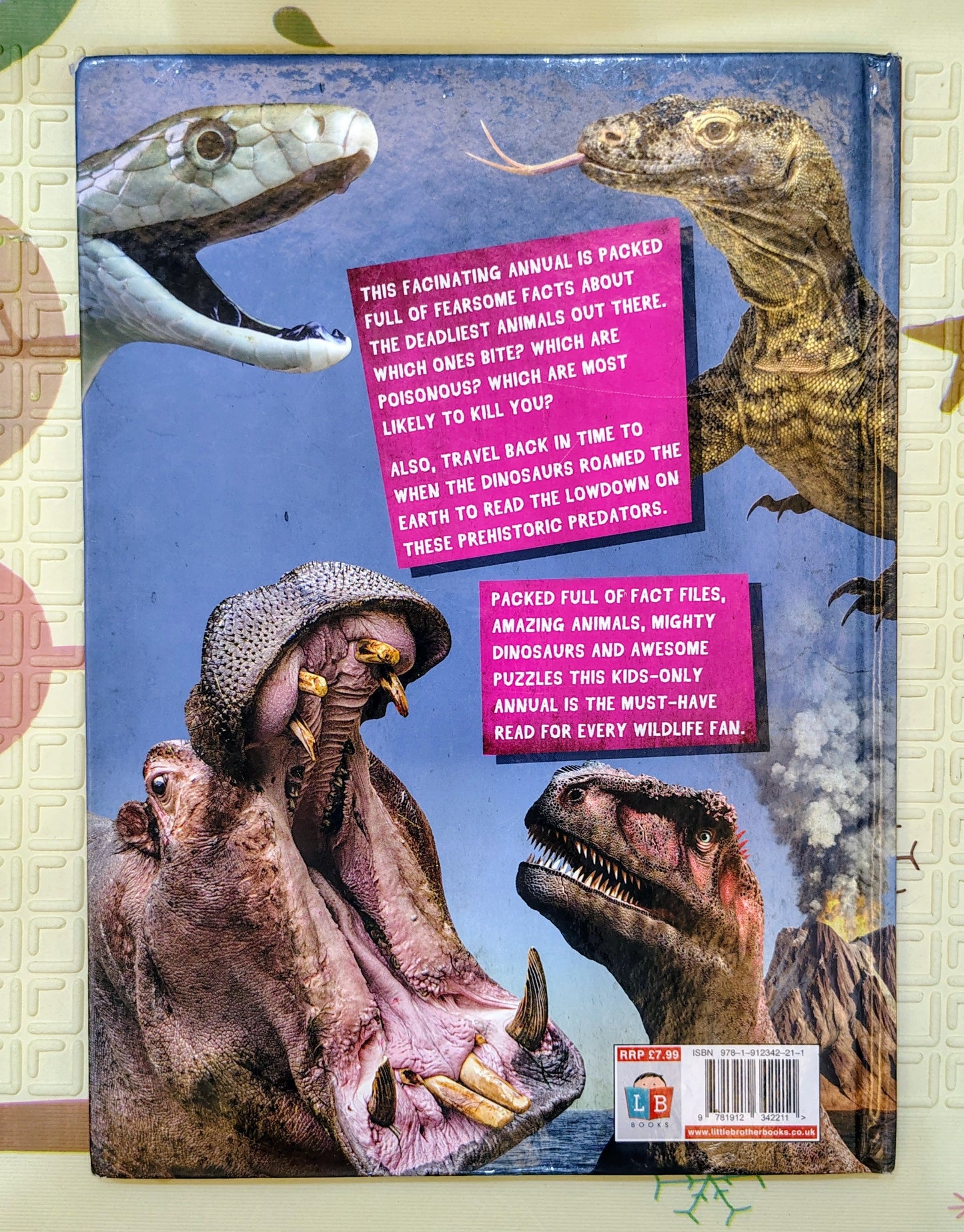 Natural History Museum: Kids Only 2019 Edition | Curious Minds