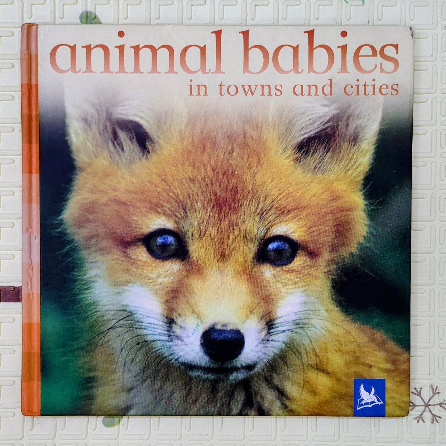 Animal Babies in Towns and Cities | Kingfisher | Educational