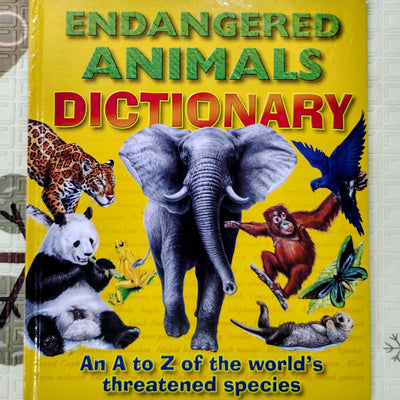 Dictionary