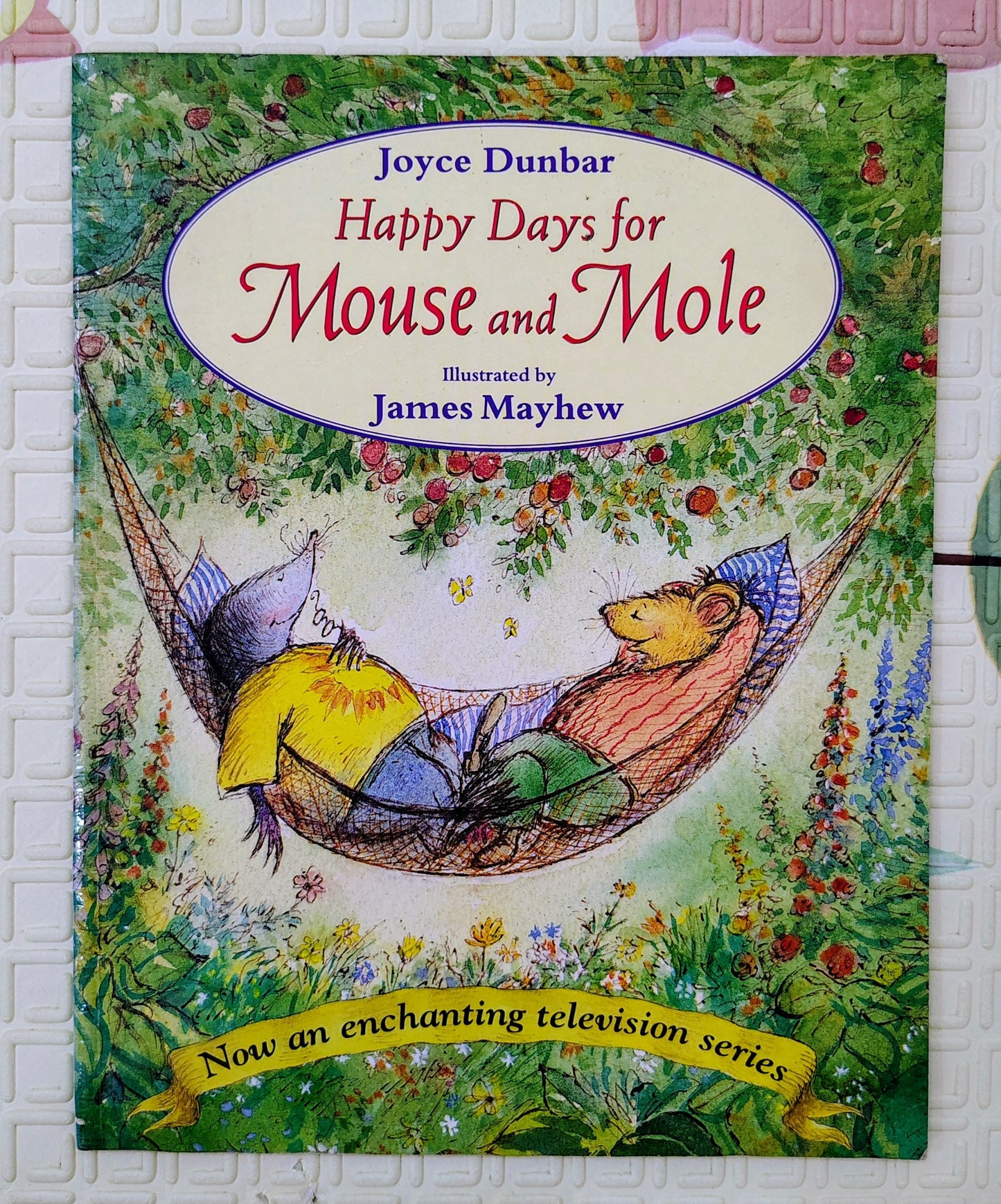 Happy Days for Mouse and Mole by Joyce Dunbar and James Mayhew