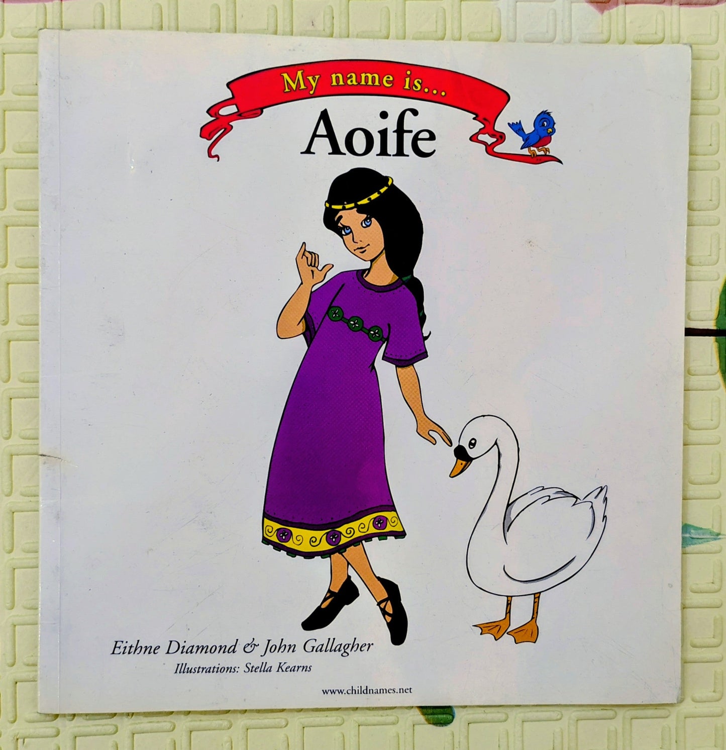 My Name is... Aoife by Eithne Diamond & John Gallagher