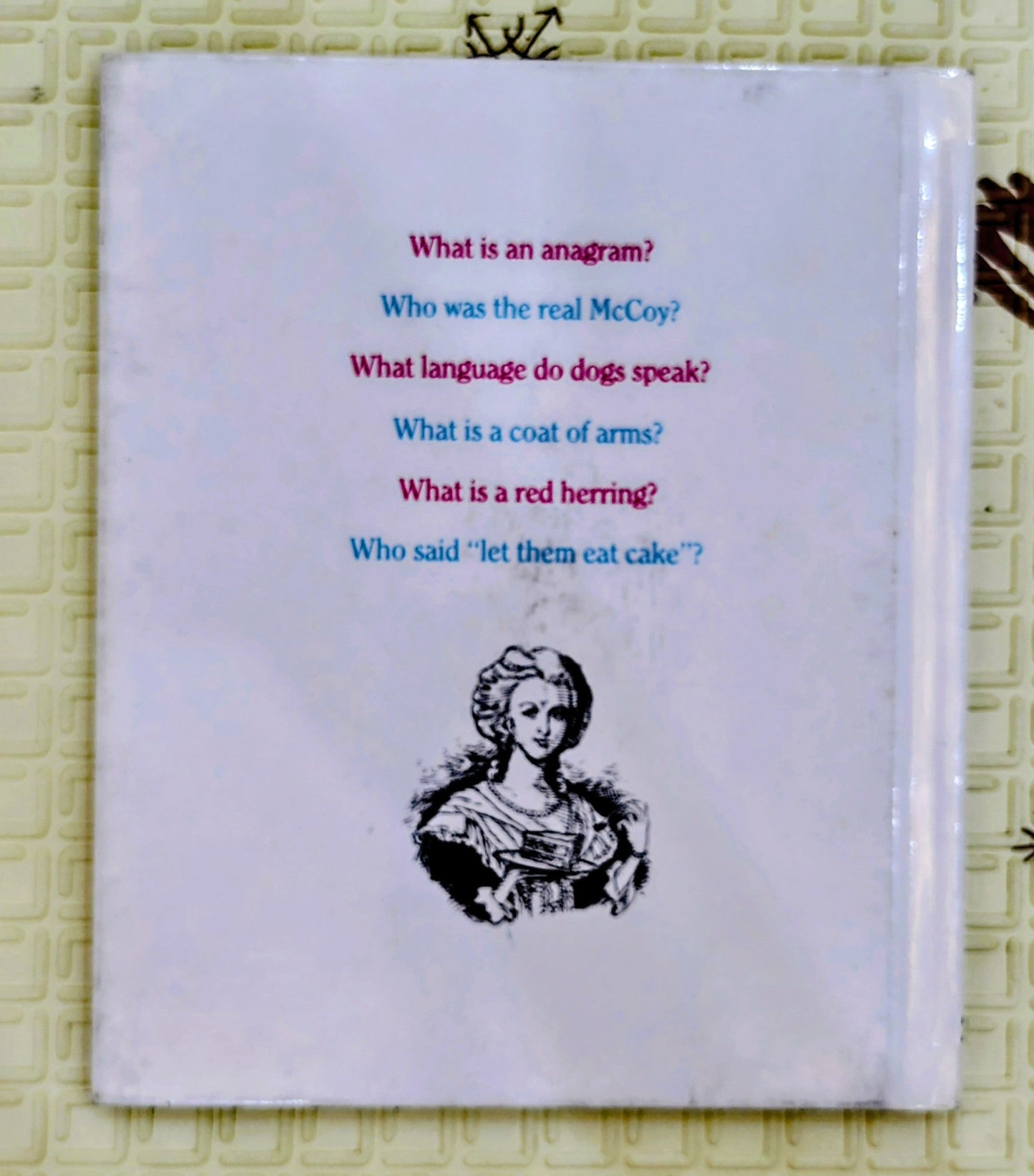 Questions Kids Ask About Words & Expressions