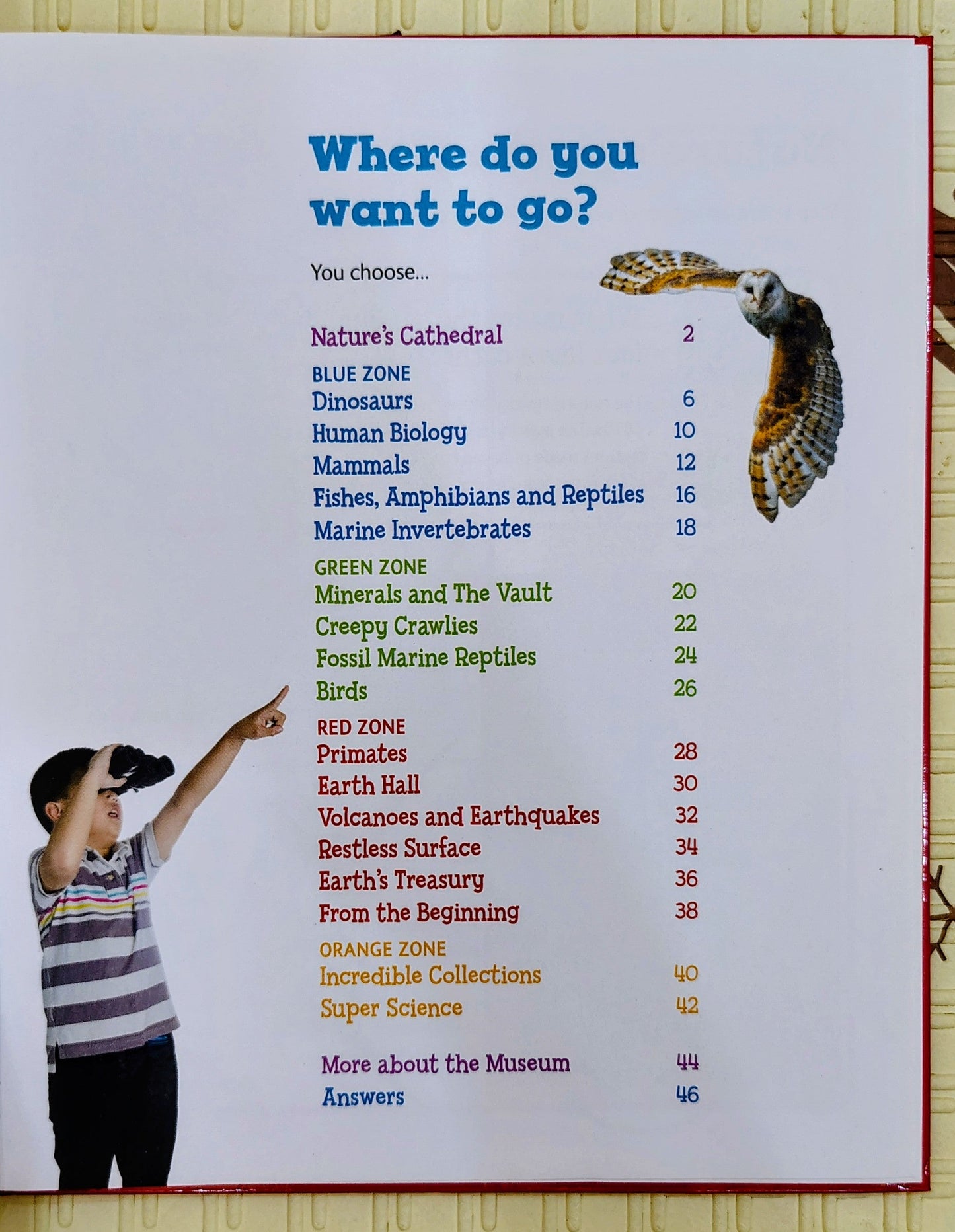 Natural History Museum: Kids Only| Fun Facts and Activities