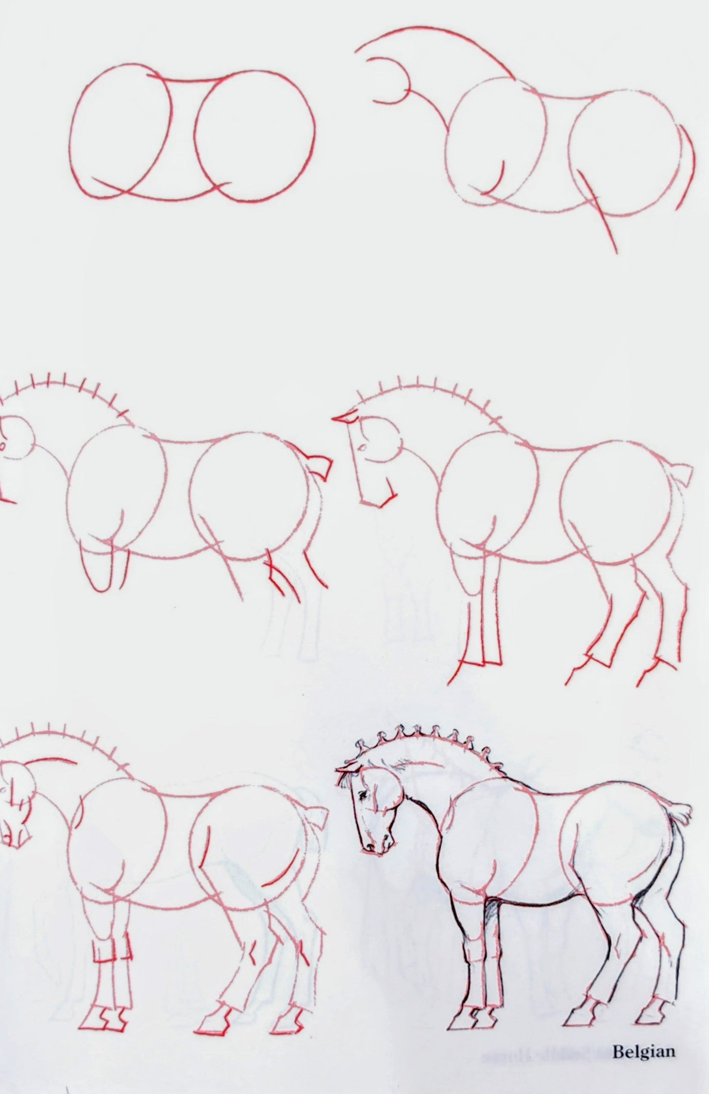 Draw 50: Horses by Lee J. Ames | Kingfisher