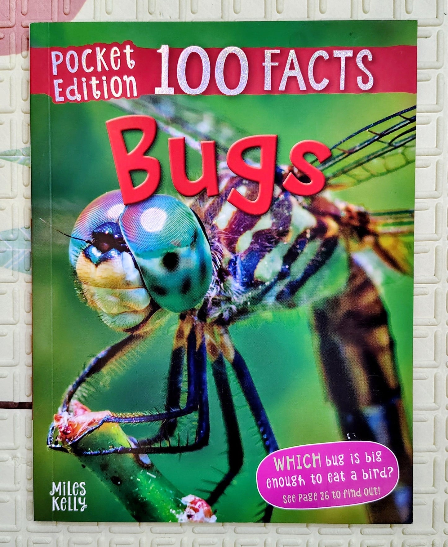 Bugs 100 Facts Pocket Edition | Miles Kelly