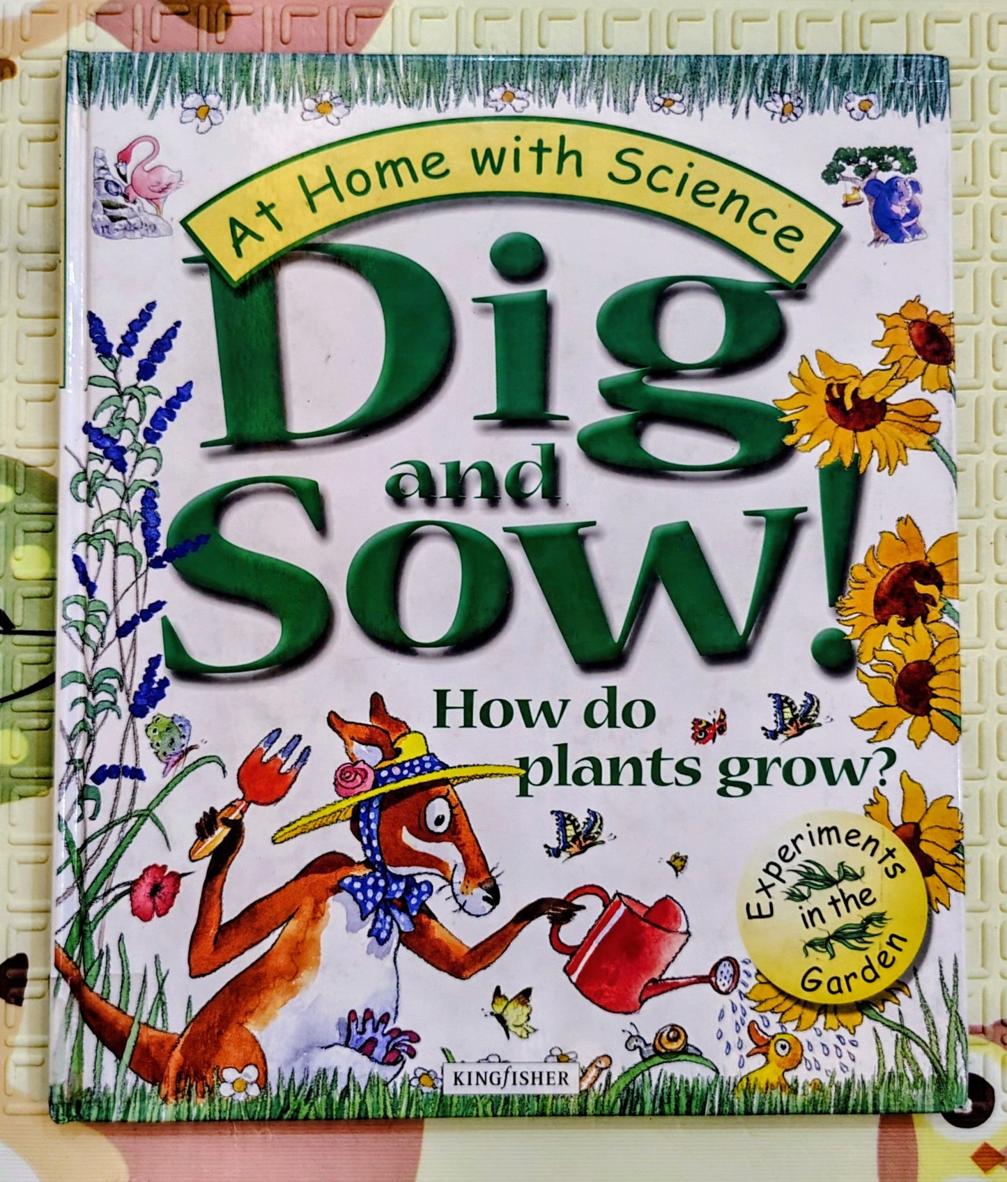 Dig and Sow! | Kingfisher At Home with Science