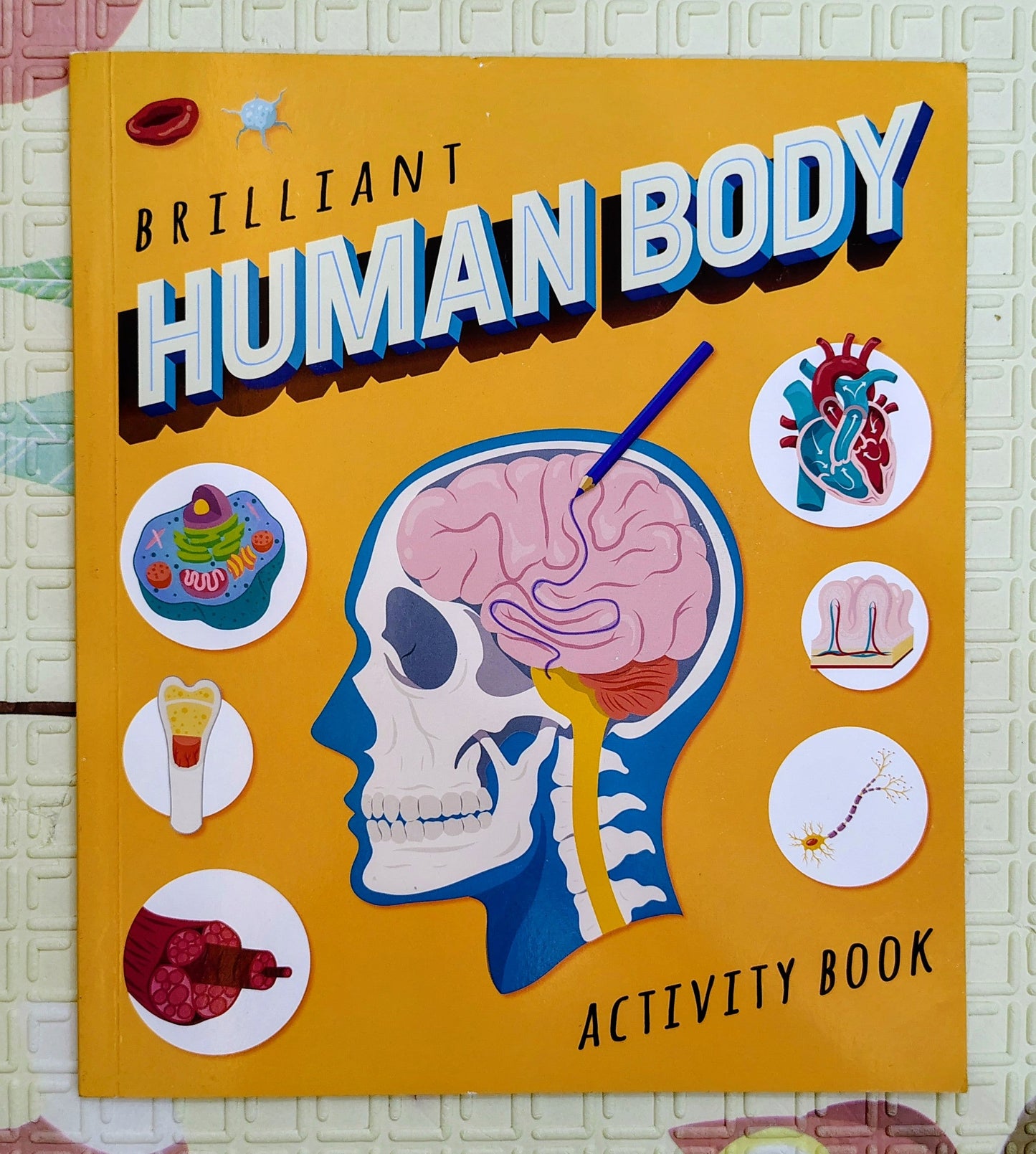 Brilliant Human Body Activity Book