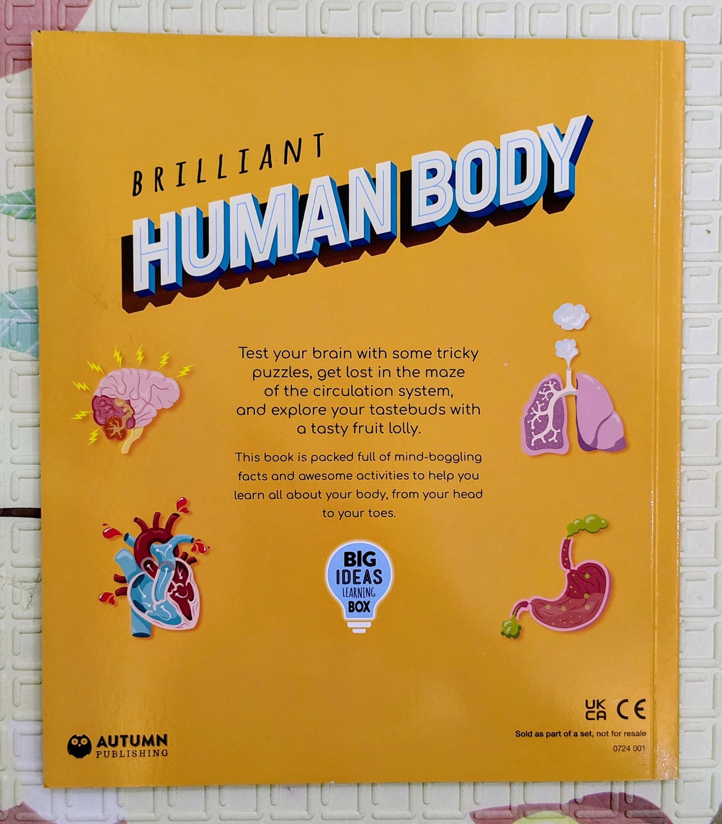 Brilliant Human Body Activity Book