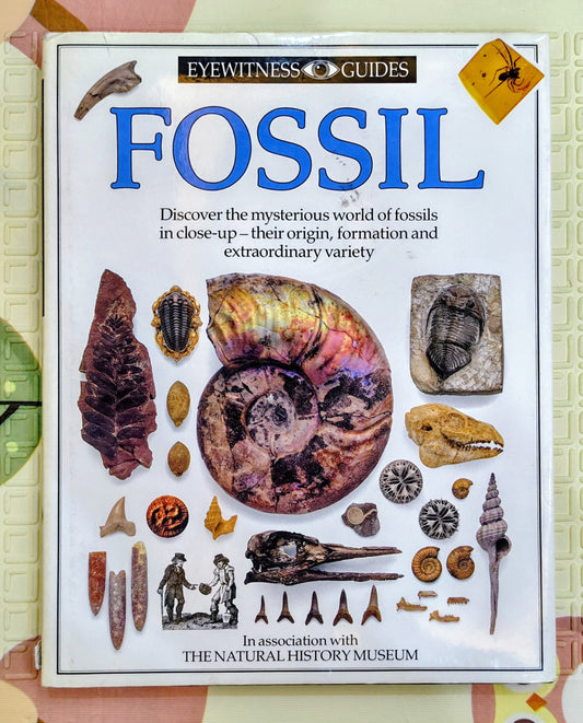 Fossil by DK Eyewitness Guides