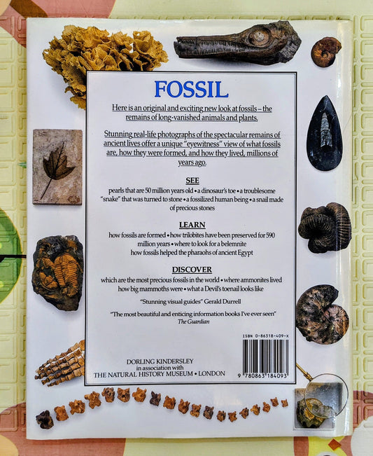Fossil by DK Eyewitness Guides