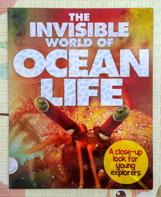 The Invisible World of Ocean Life | Close up look