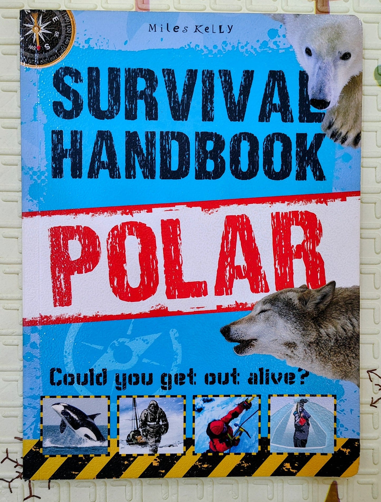 Survival Handbook: Polar by Miles Kelly