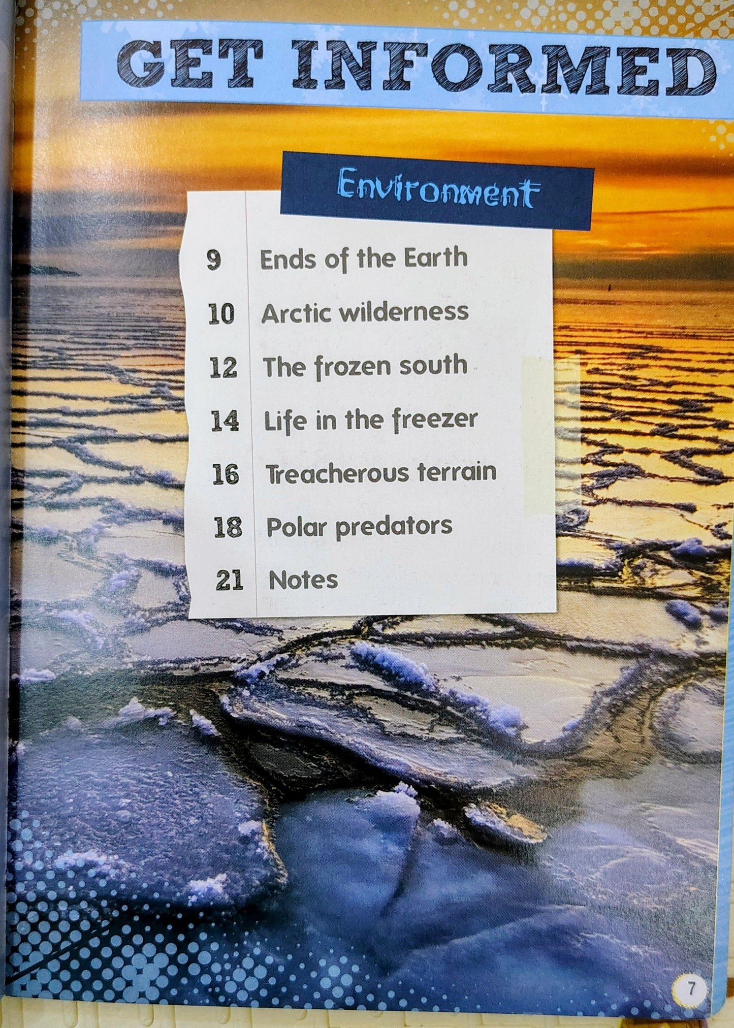 Survival Handbook: Polar by Miles Kelly