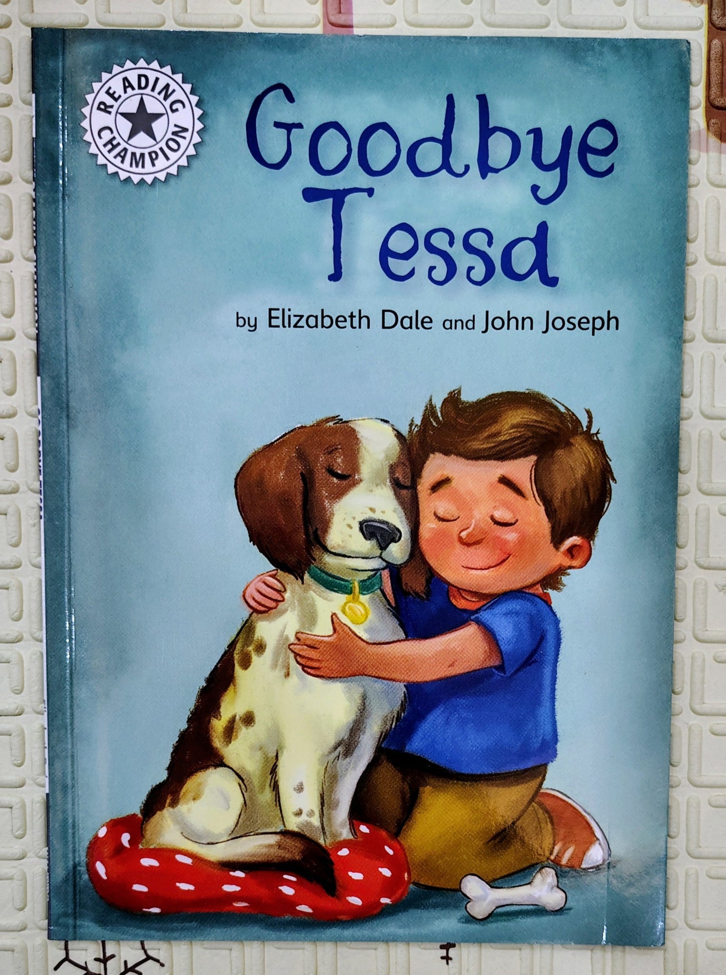 Goodbye Tessa by Elizabeth Dale and John Joseph | Reading Champion
