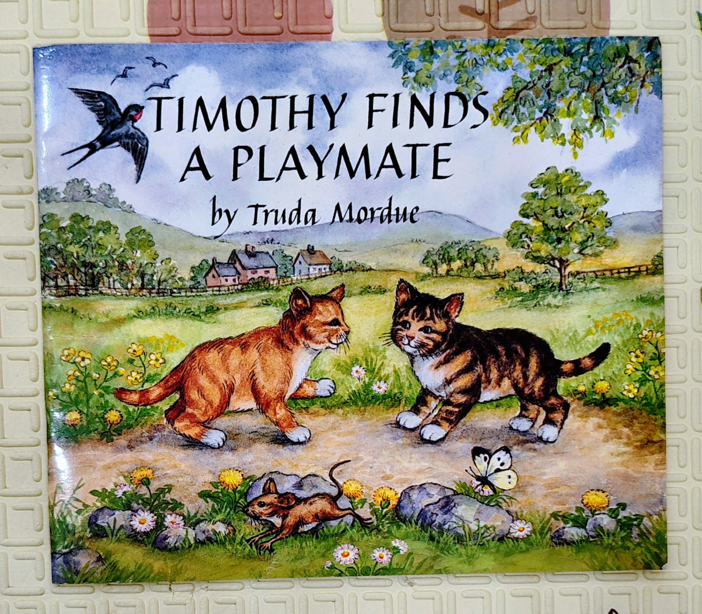 Timothy Finds a Playmate by Truda Mordue