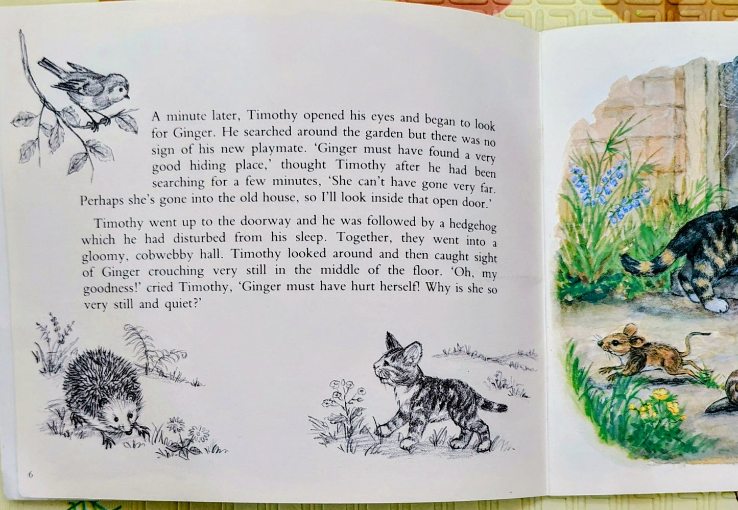 Timothy Finds a Playmate by Truda Mordue