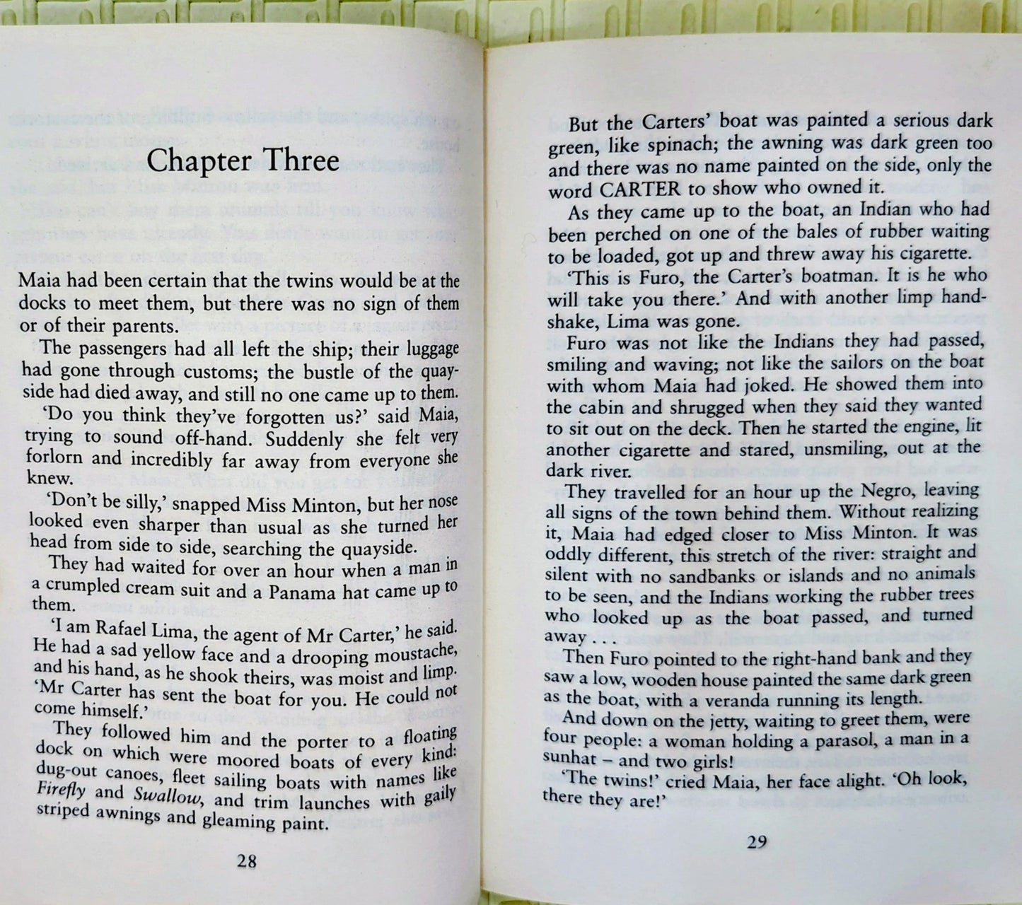 Journey to the River Sea by Eva Ibbotson