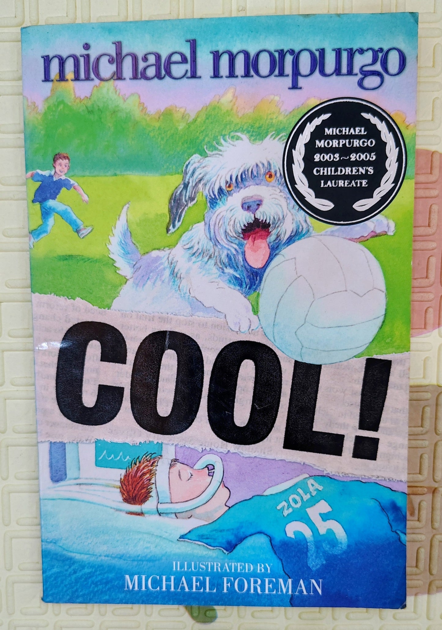 Cool! by Michael Morpurgo | Illustrated by Michael Foreman