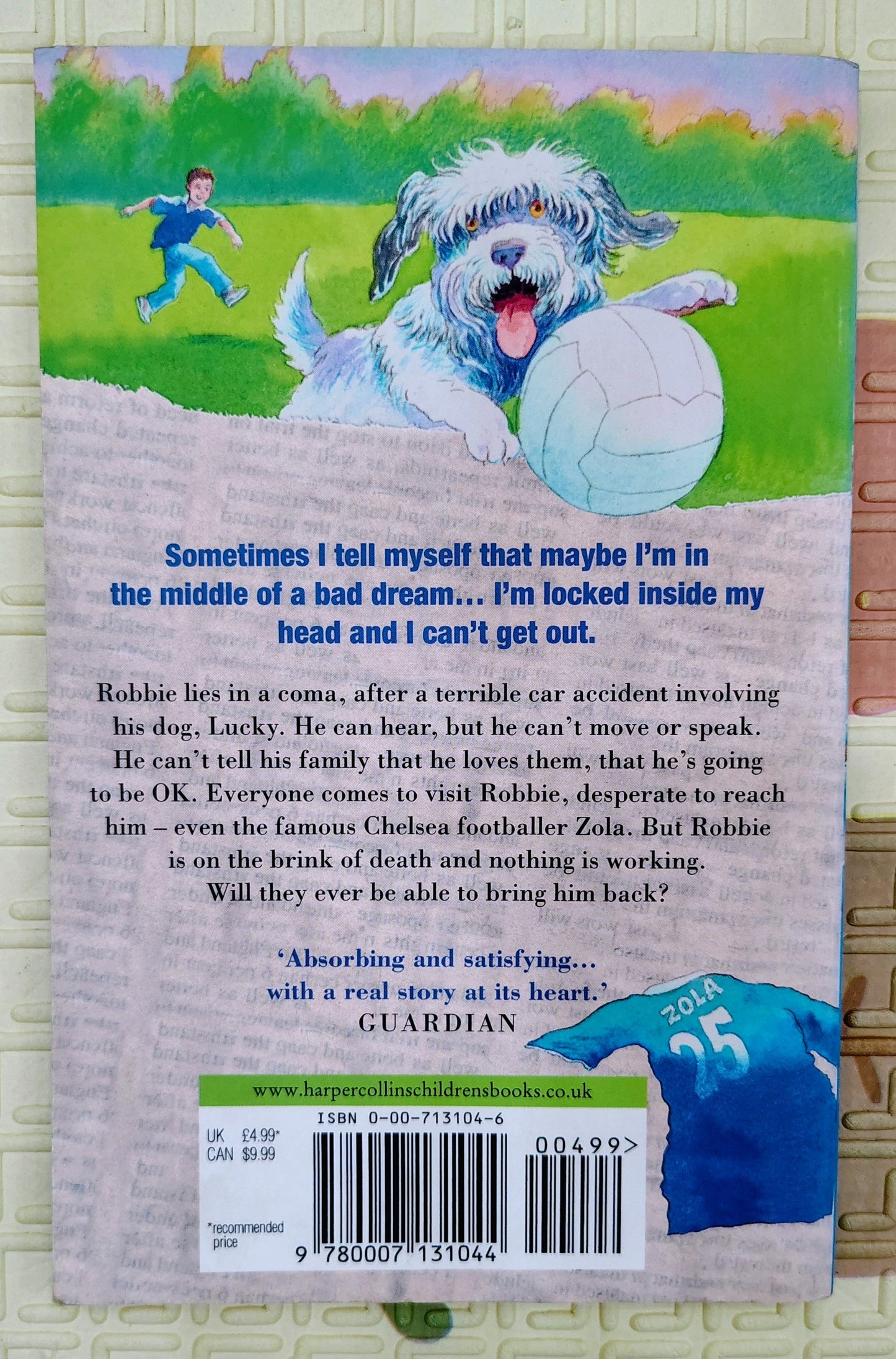 Cool! by Michael Morpurgo | Illustrated by Michael Foreman