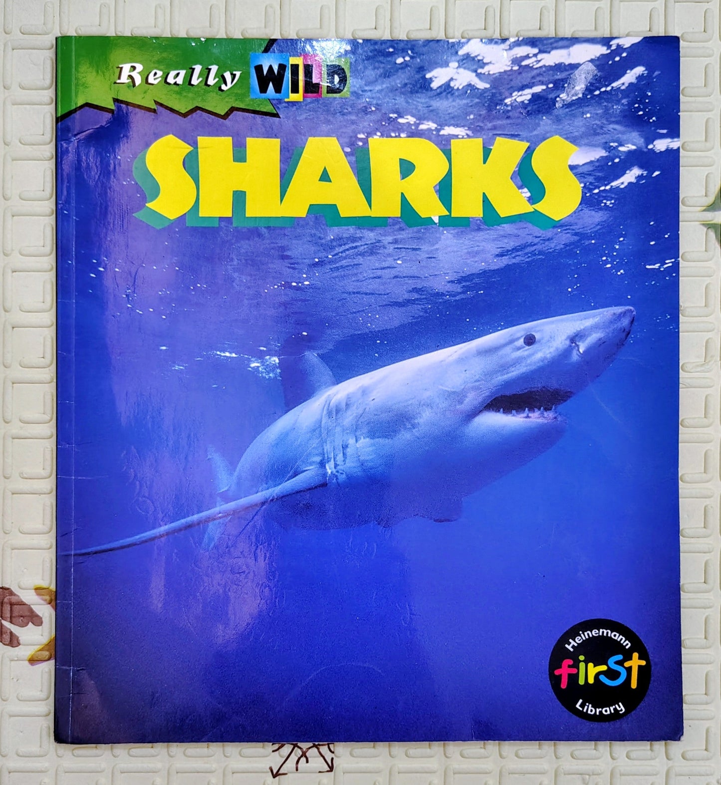 Really Wild Sharks | Heinemann
