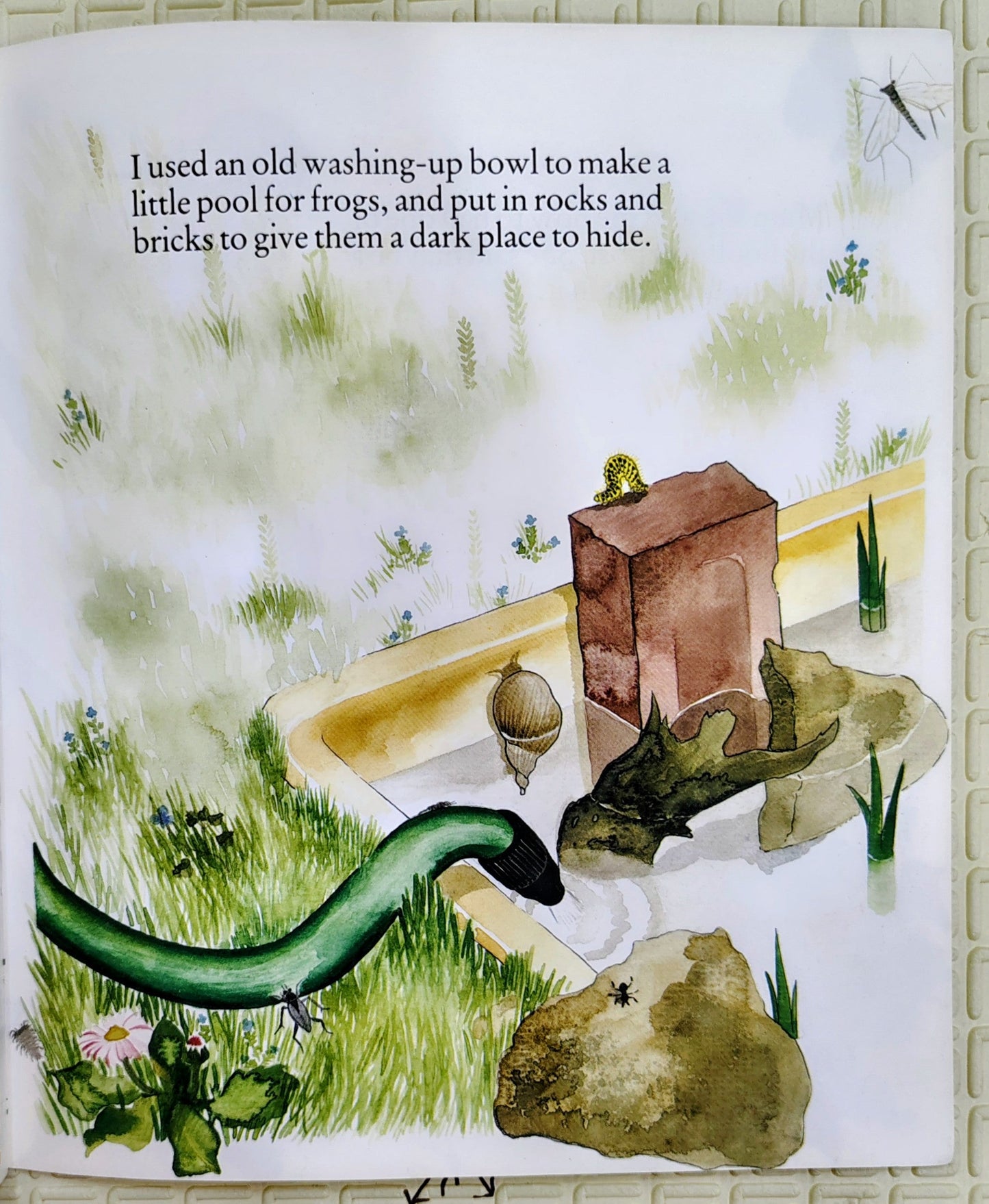 A Secret Place by Julia Draper | Hippo