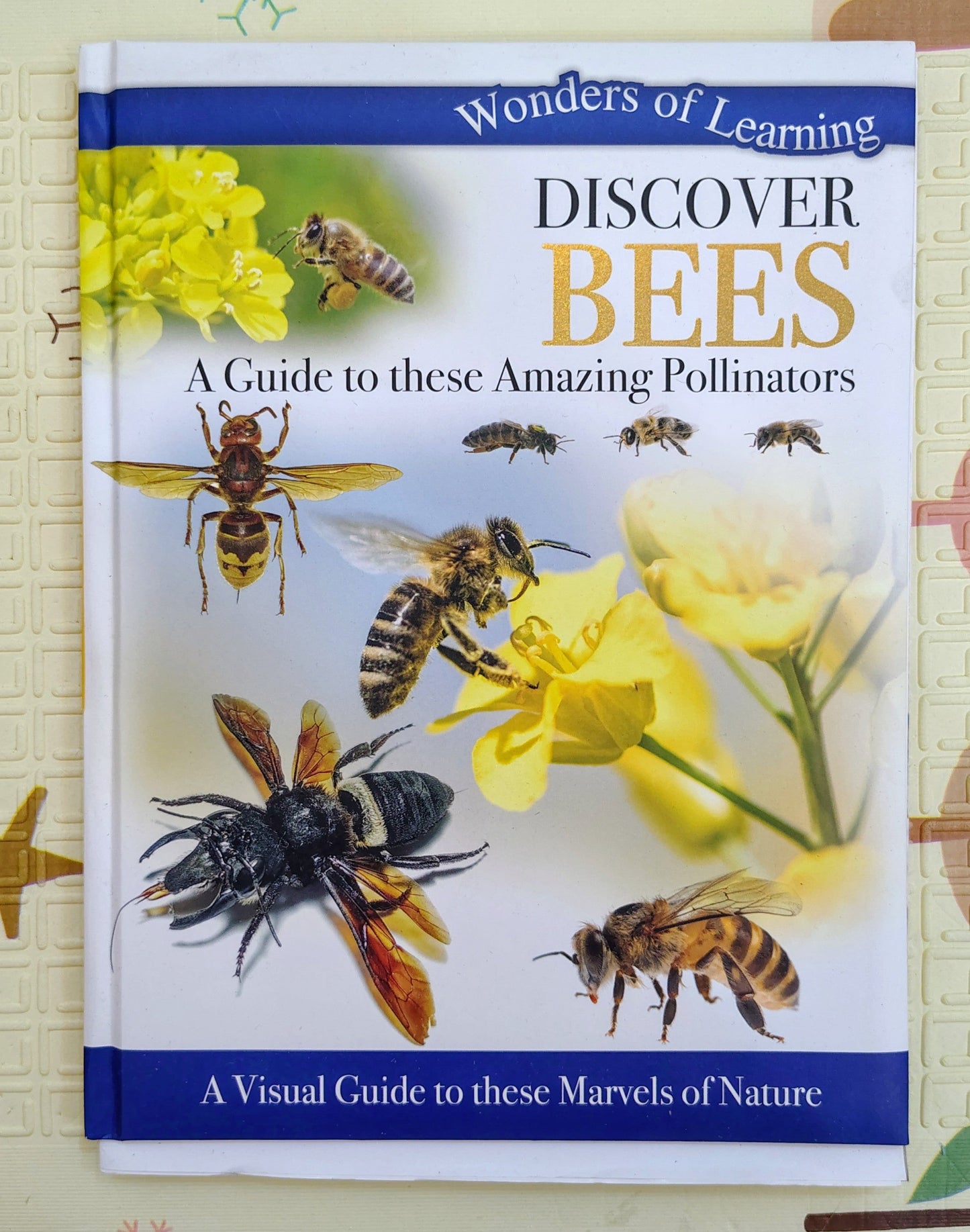 Discover Bees by Wonders of Learning | A visual Guide