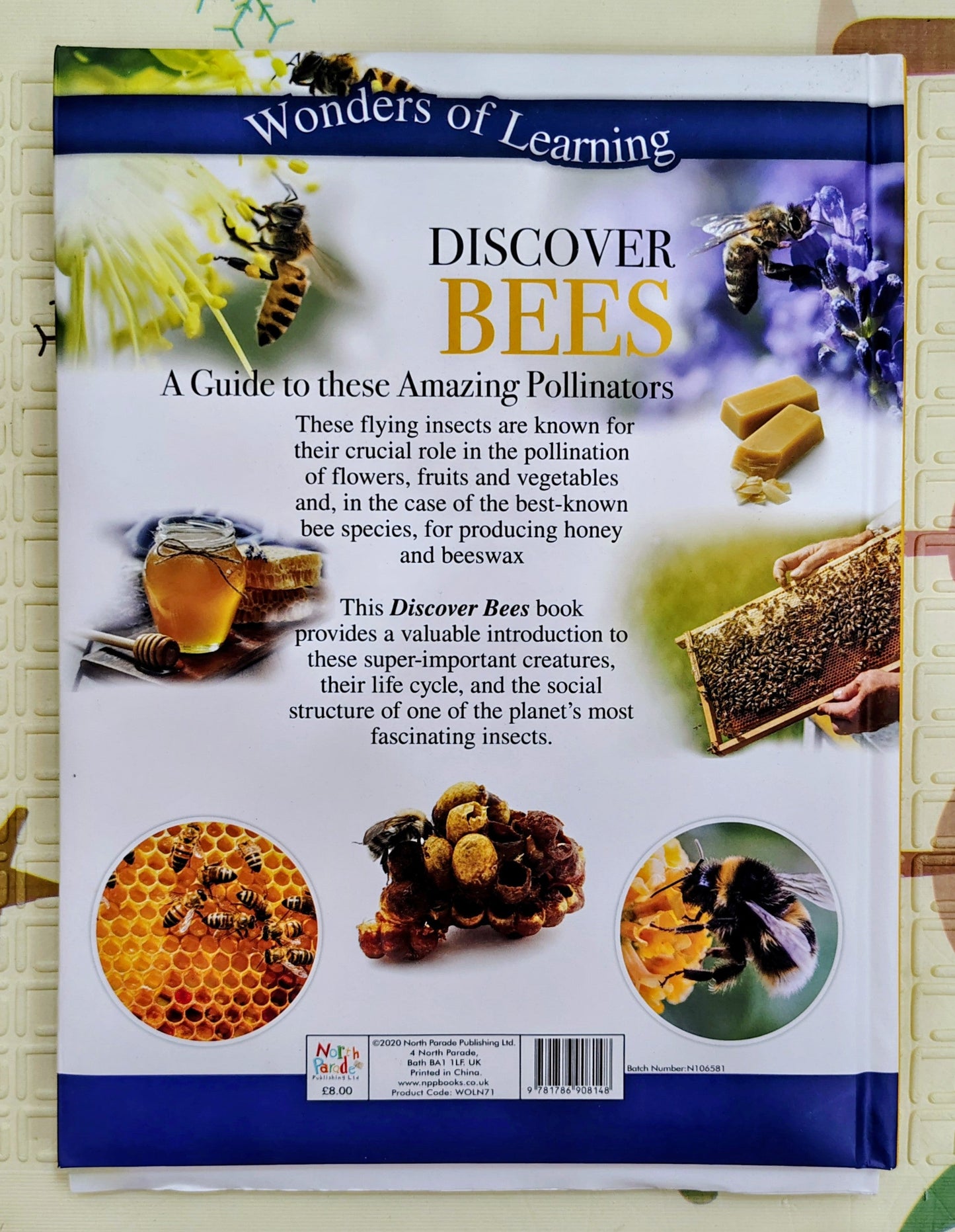 Discover Bees by Wonders of Learning | A visual Guide